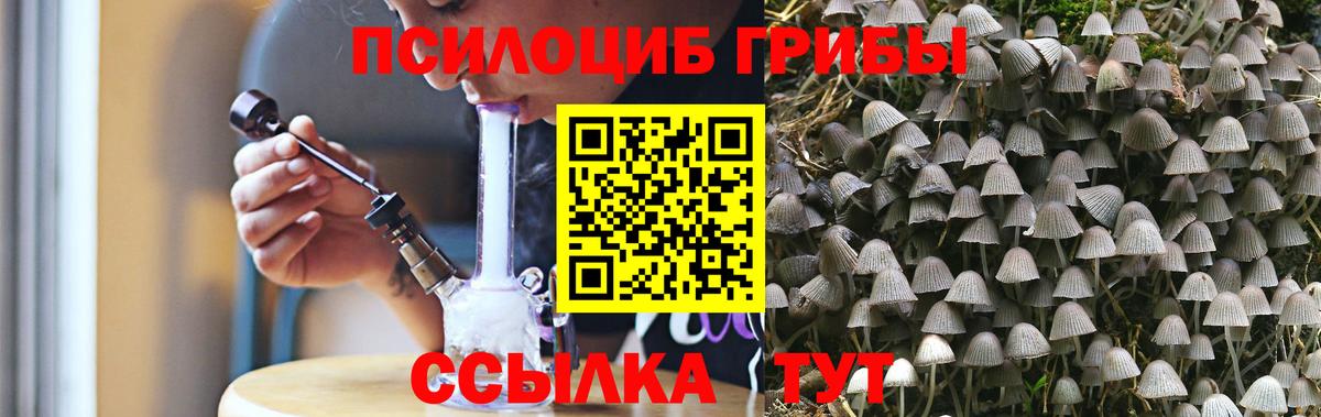 Апрелевка  как найти наркотики  Вход с VPN  Псилоцибиновые грибы прущие грибы 